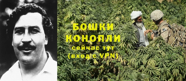 мяу мяу кристалл Бородино